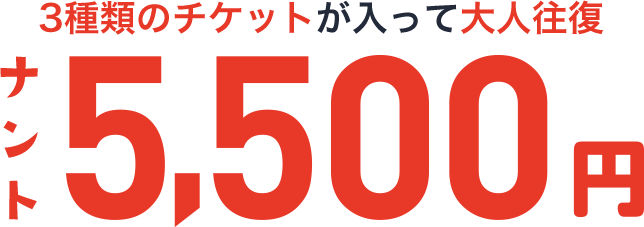 3種類のチケットが入って大人往復ナント5,500円